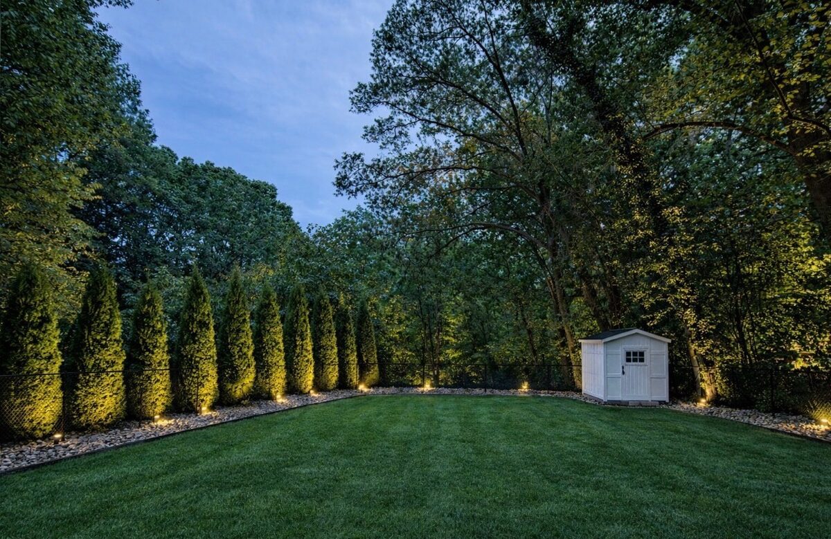 Professional landscape uplighting — trees and hedges lit along a lush residential backyard perimeter at dusk